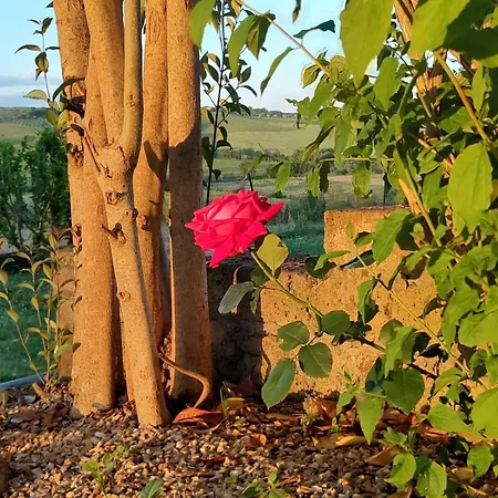Apartamento Il Giardino Del Chianti Siena Exterior foto