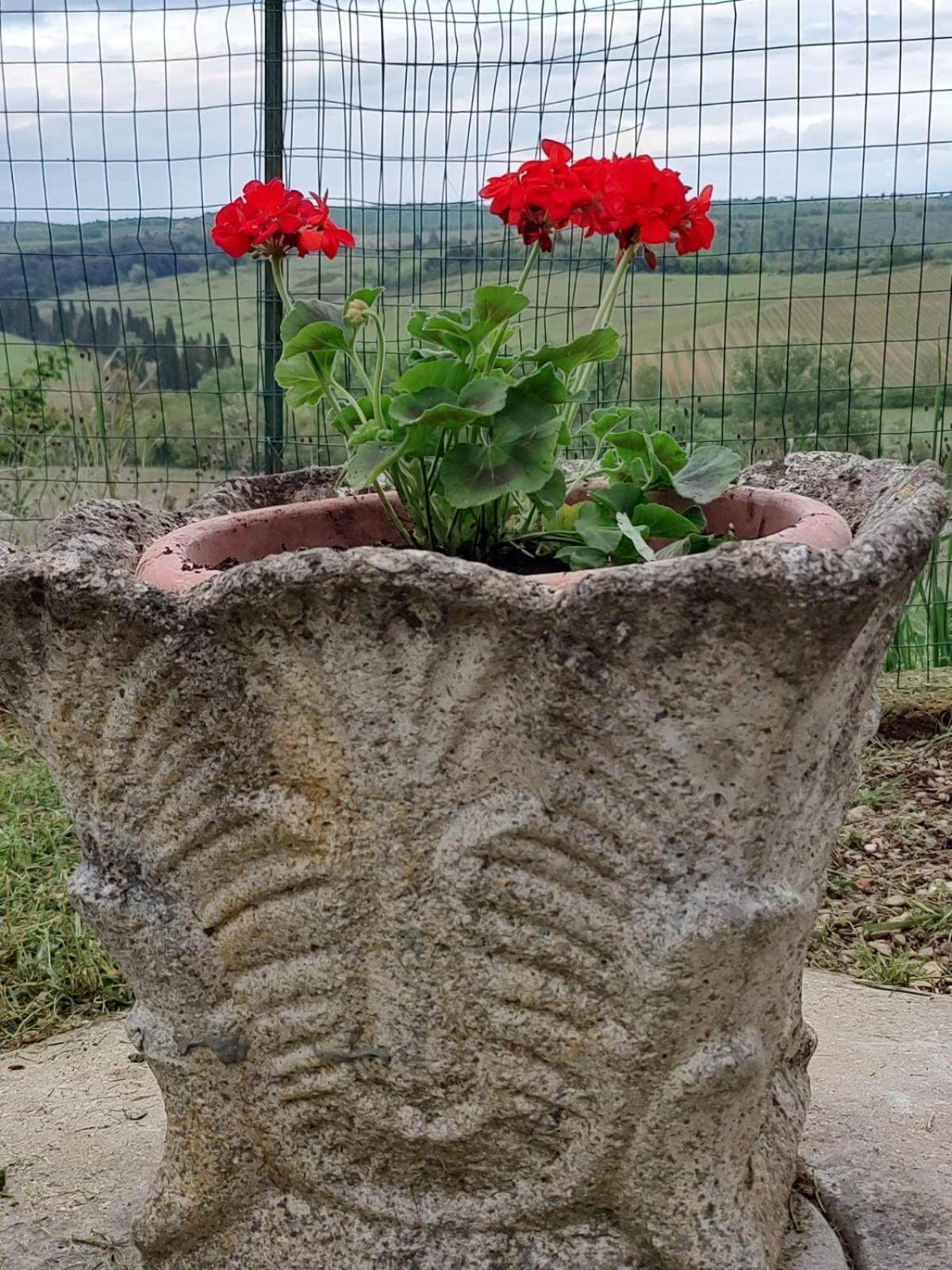 Apartment Il Giardino Del Chianti *
