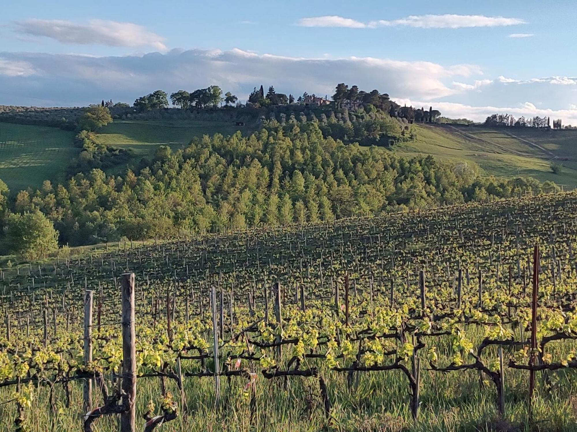 Il Giardino Del Chianti Appartement