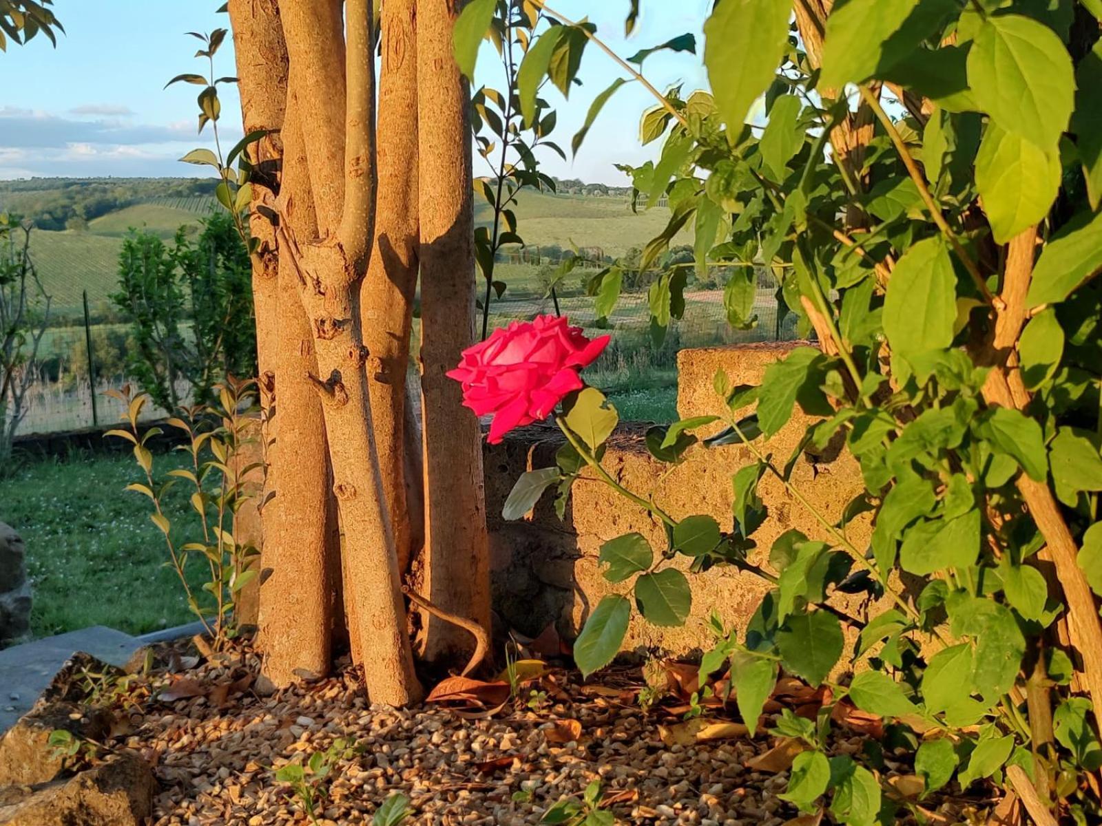 Il Giardino Del Chianti Apartment *